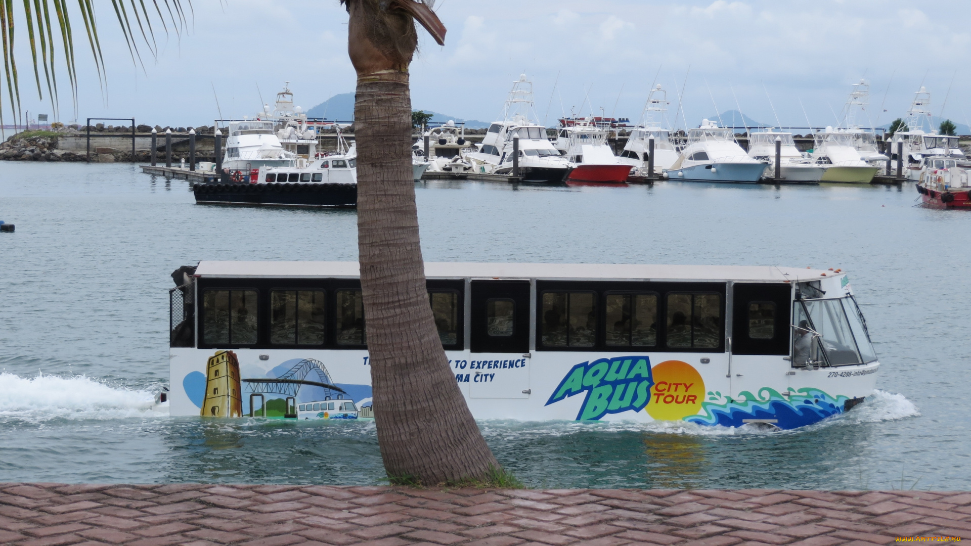 aquabus, -, panama, city, корабли, разные, вместе, набережная, бухта, катера, яхты, aquabus, panama, city