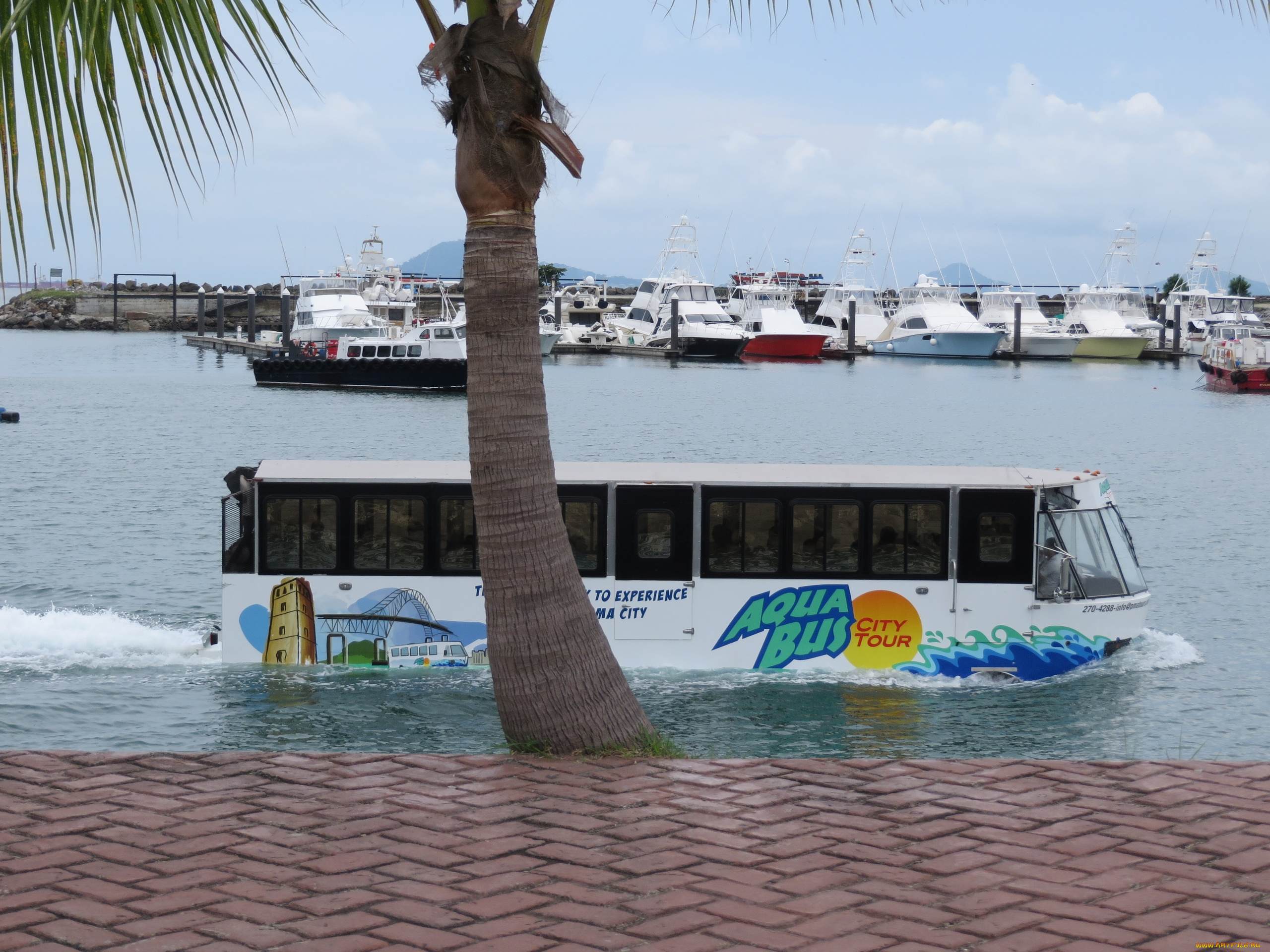 aquabus, -, panama, city, корабли, разные, вместе, набережная, бухта, катера, яхты, aquabus, panama, city