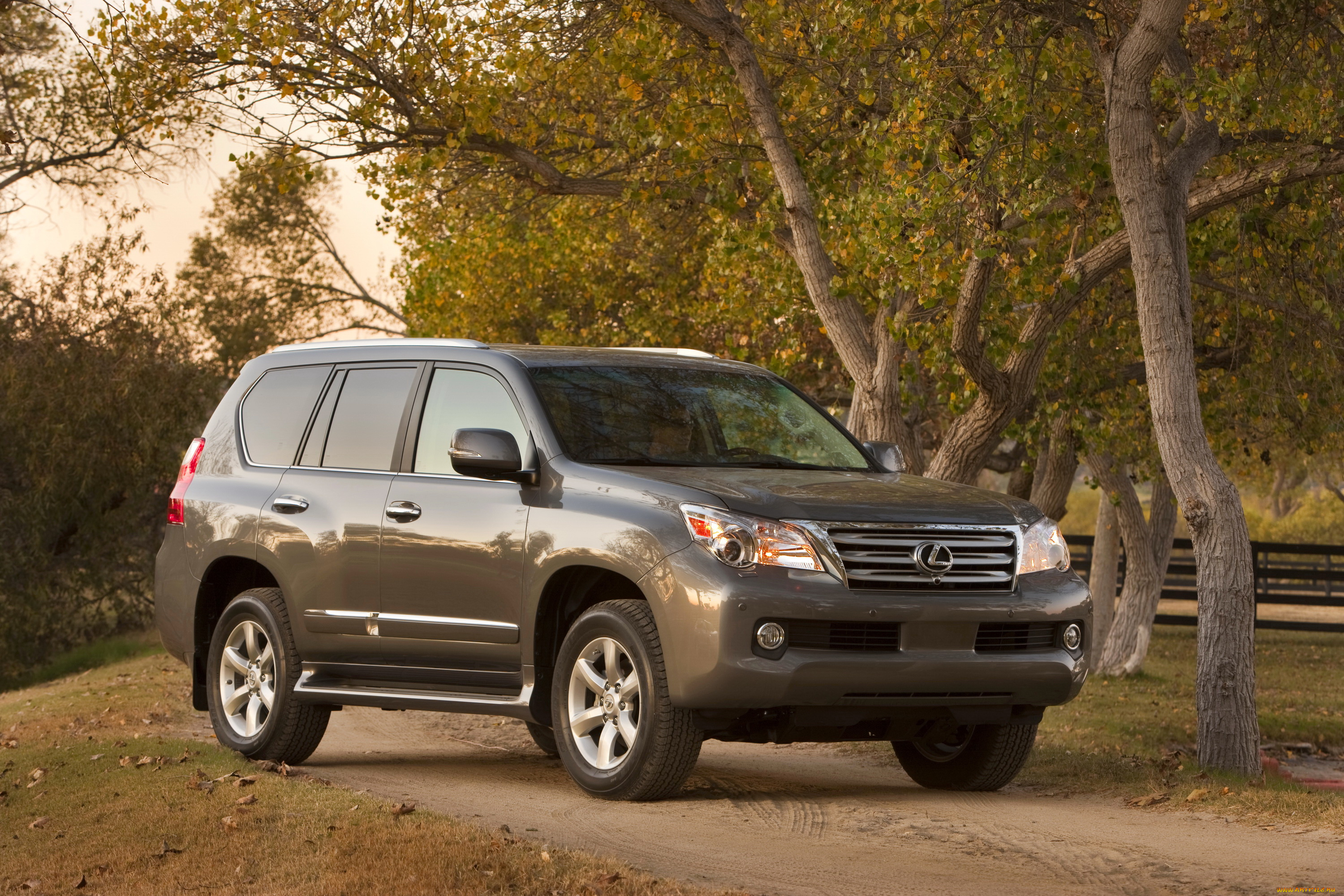 2010, lexus, gx460, автомобили, lexus, деревья, дорога