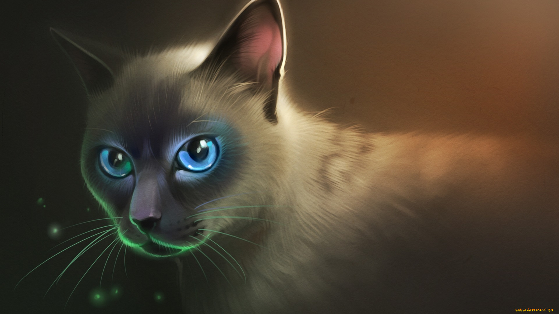 gaudibuendia, рисованное, животные, , коты, голубые, глаза, взгляд, пушистый, арт, кот