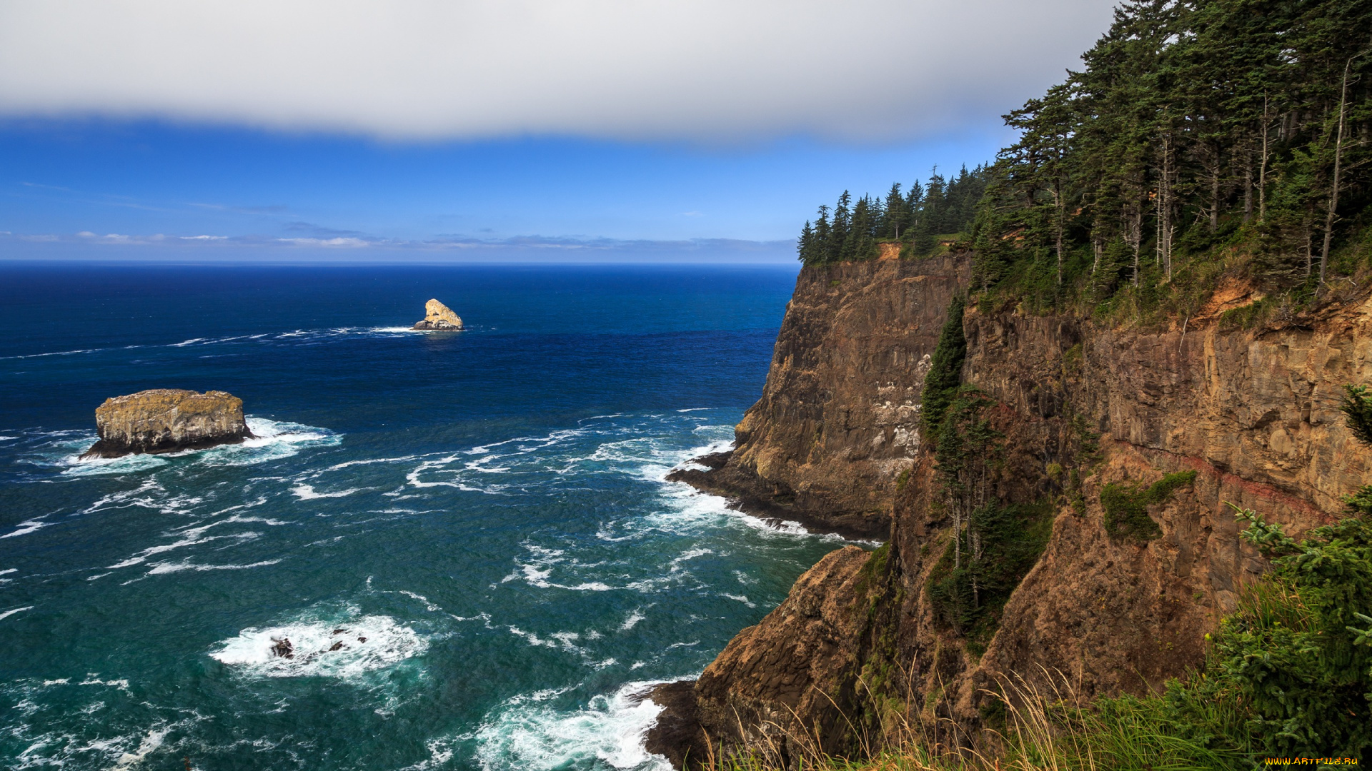 природа, побережье, oregon, coast, лес, океан, скалы, пляж