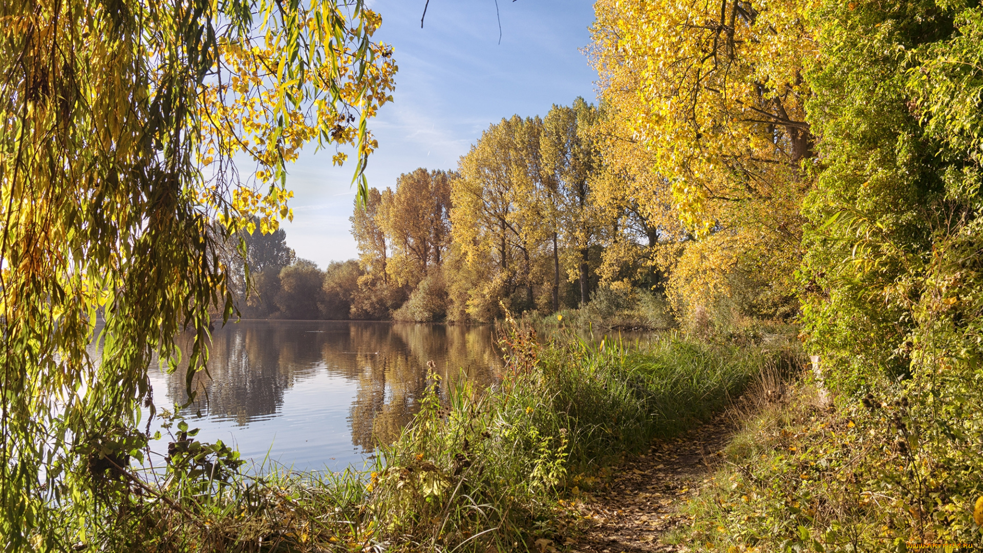 природа, реки, озера, река, лес, осень