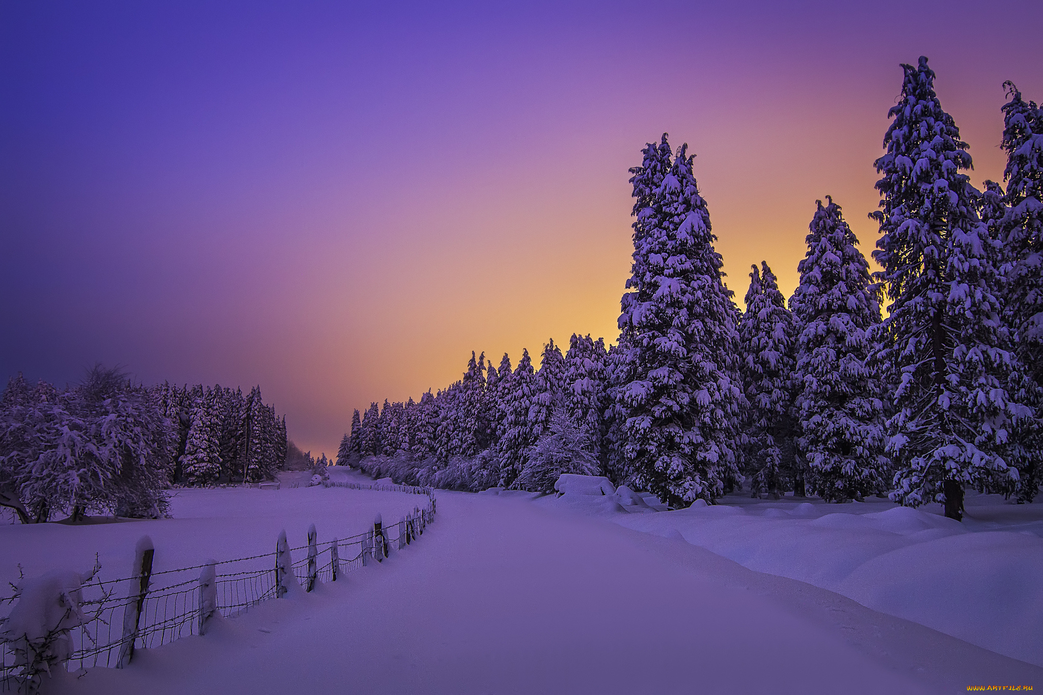 природа, зима, снег, лес, поле, вечер
