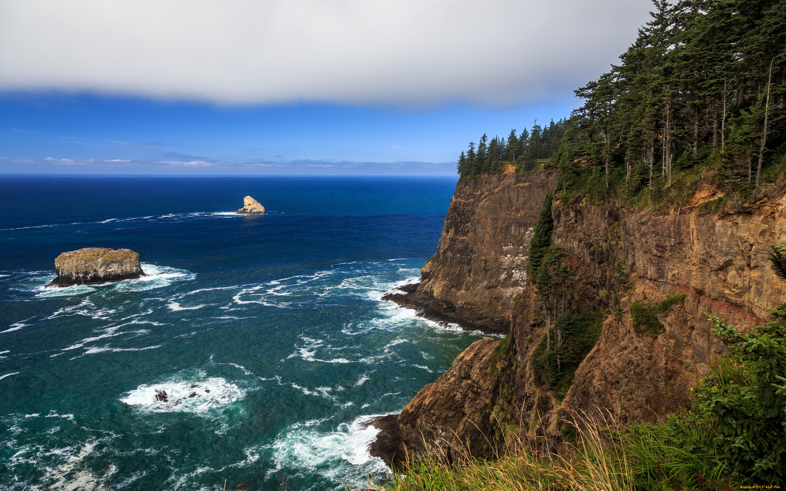 природа, побережье, oregon, coast, лес, океан, скалы, пляж