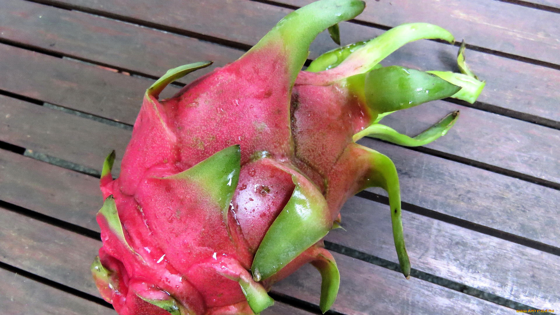 еда, питахайя, dragon-fruit, фрукт, экзотический