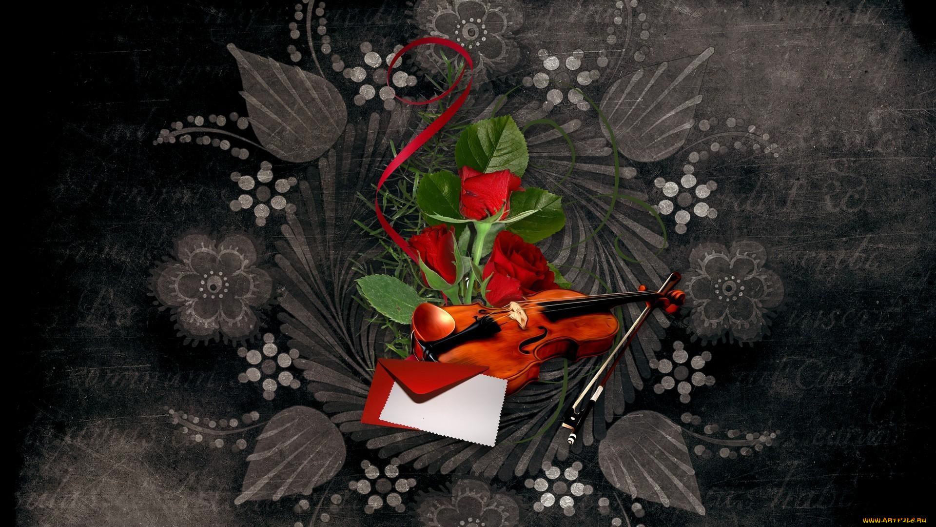 музыка, -, другое, розы, скрипка