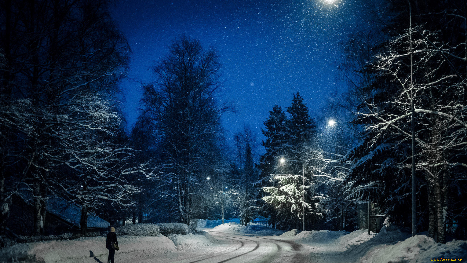природа, дороги, снег, деревья, дорога, ночь