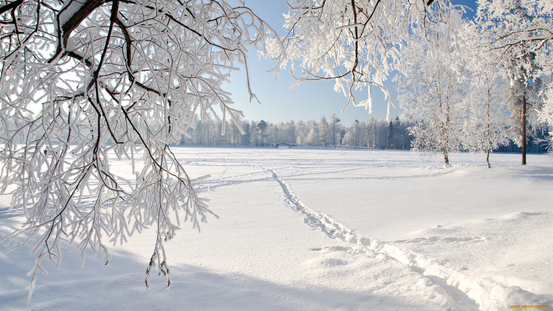 природа, зима, следы, мост, деревья, снег, ветки