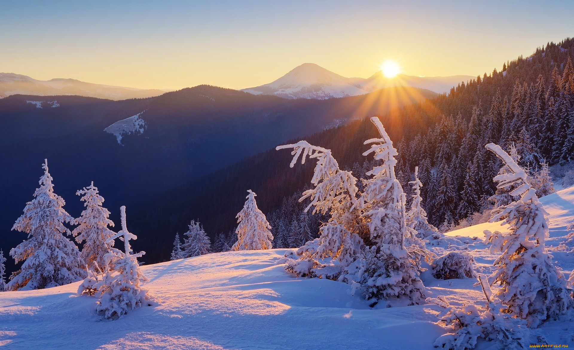 природа, горы, зима, снег, утро, восход, лес, солнце, деревья