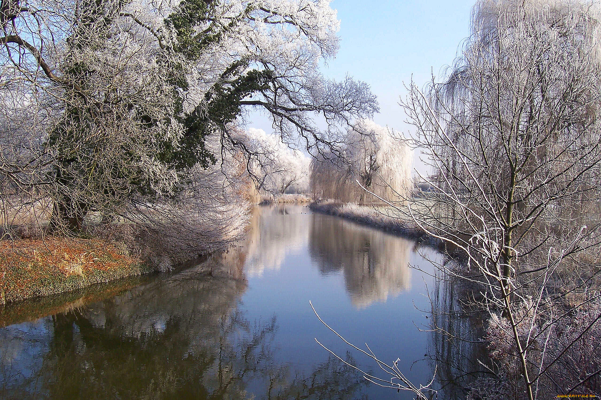 природа, реки, озера, река, лес