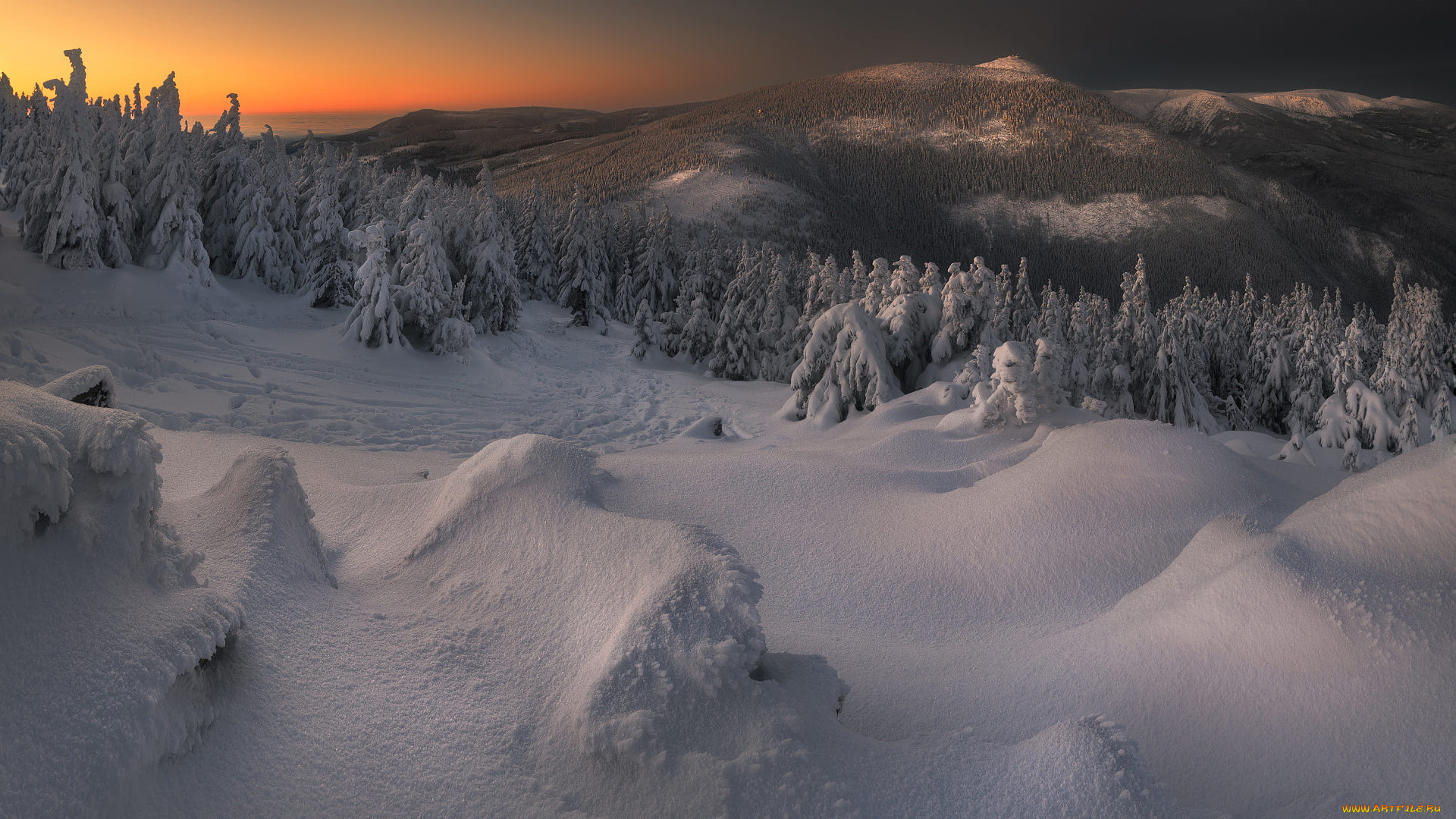 karkonosze, national, park, poland, природа, зима, karkonosze, national, park