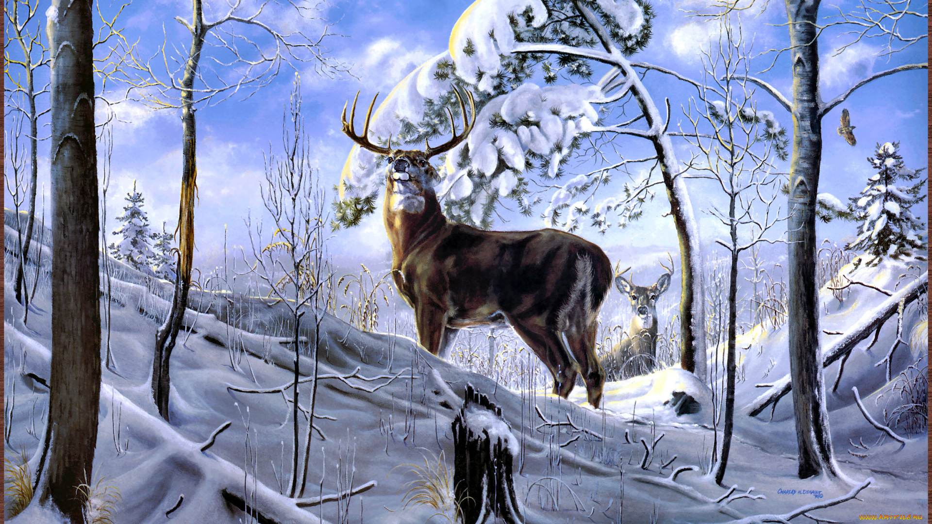 charles, denault, appalachian, high, рисованные, h, зима, олень, арт, деревья, снег, лес