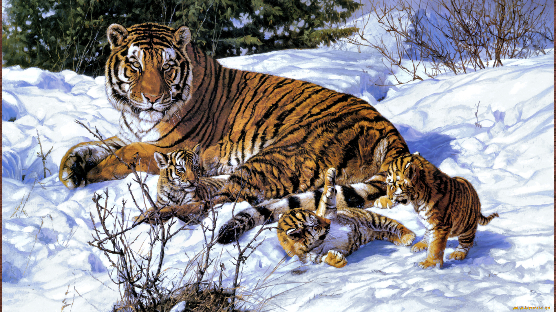 john, banovich, my, three, sons, рисованные, тигрица, тигры, арт, тигрята, зима, снег