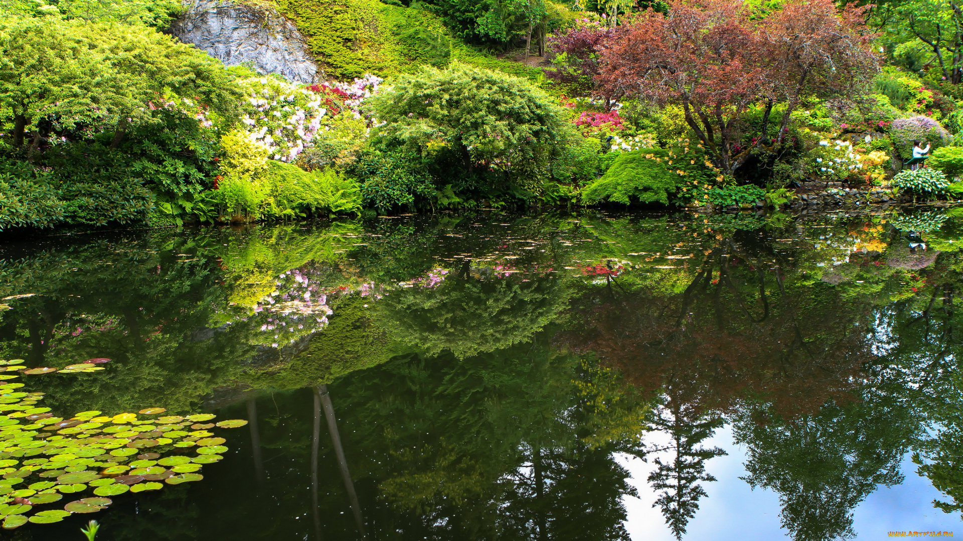 butchart, gardens, canada, природа, парк, canada, цветы, кусты, gardens, butchart