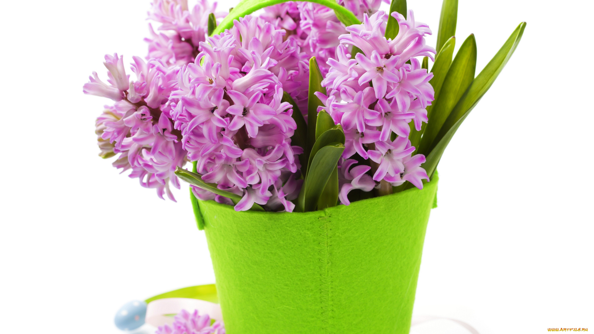 цветы, гиацинты, фиолетовые, ваза, сумочка, фон