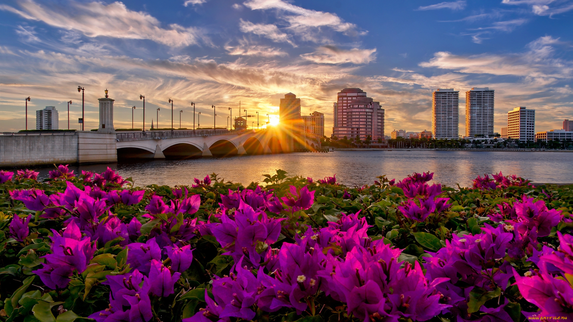 palm, beach, , florida, города, -, пейзажи, здания, мост, река, цветы, солнце