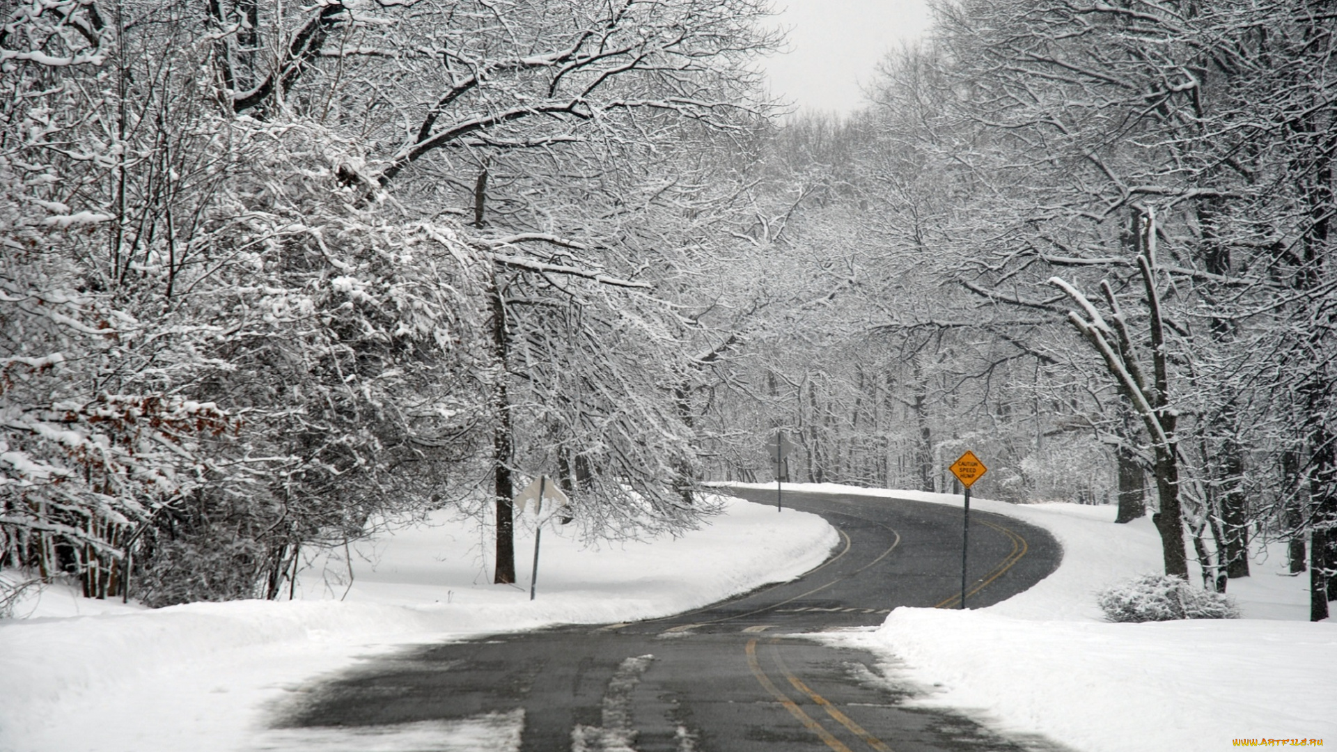 природа, зима, деревья, знак, дорога, снег