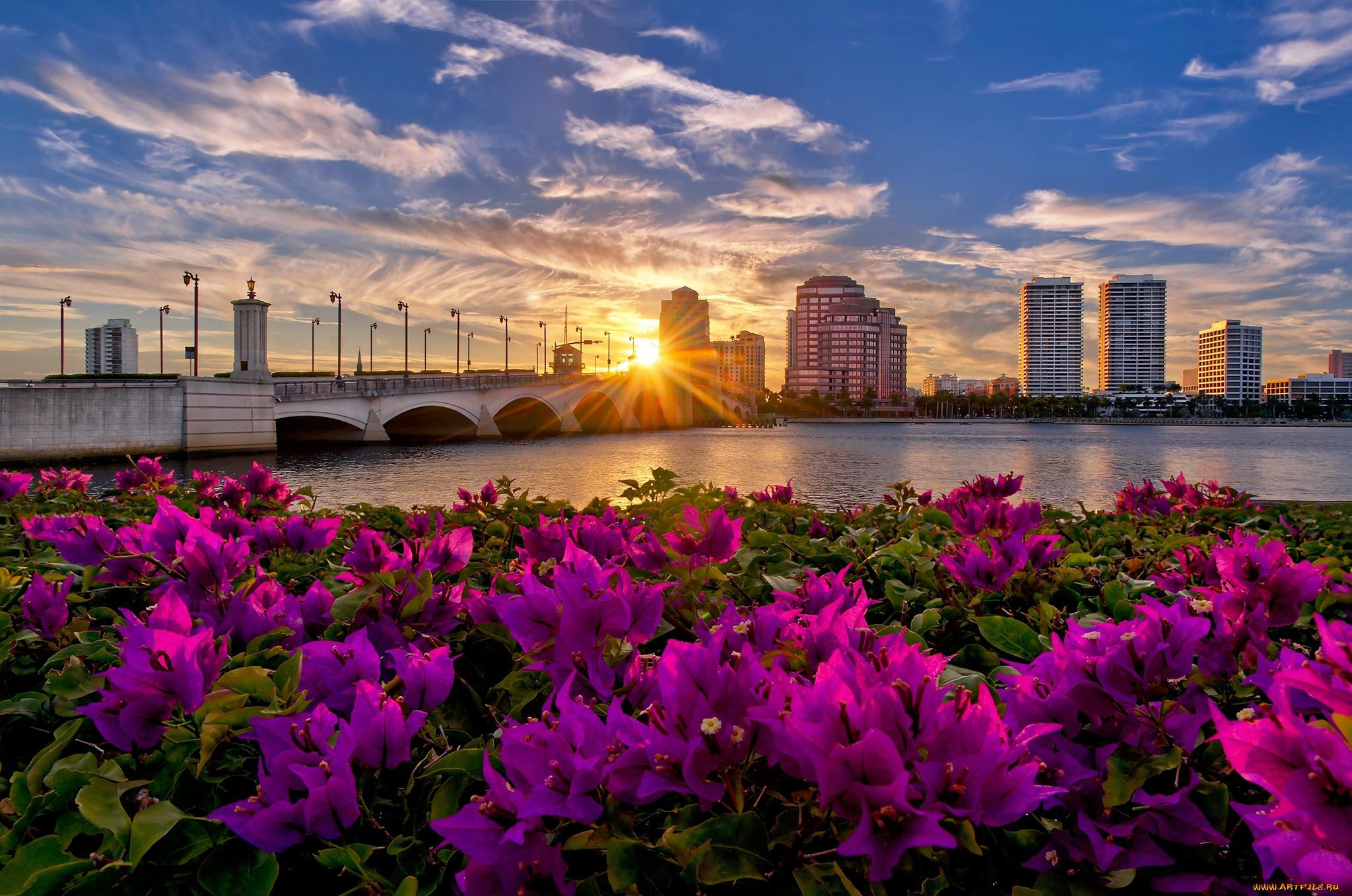 palm, beach, , florida, города, -, пейзажи, здания, мост, река, цветы, солнце