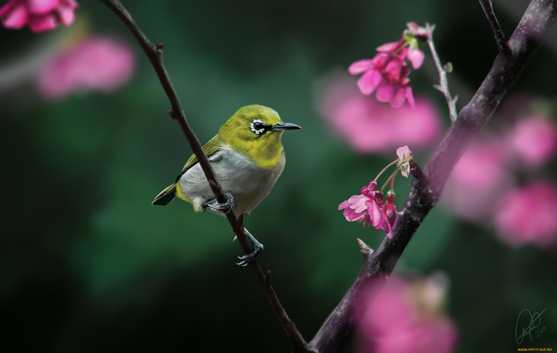 Желтая птица на ветке с цветами без смс