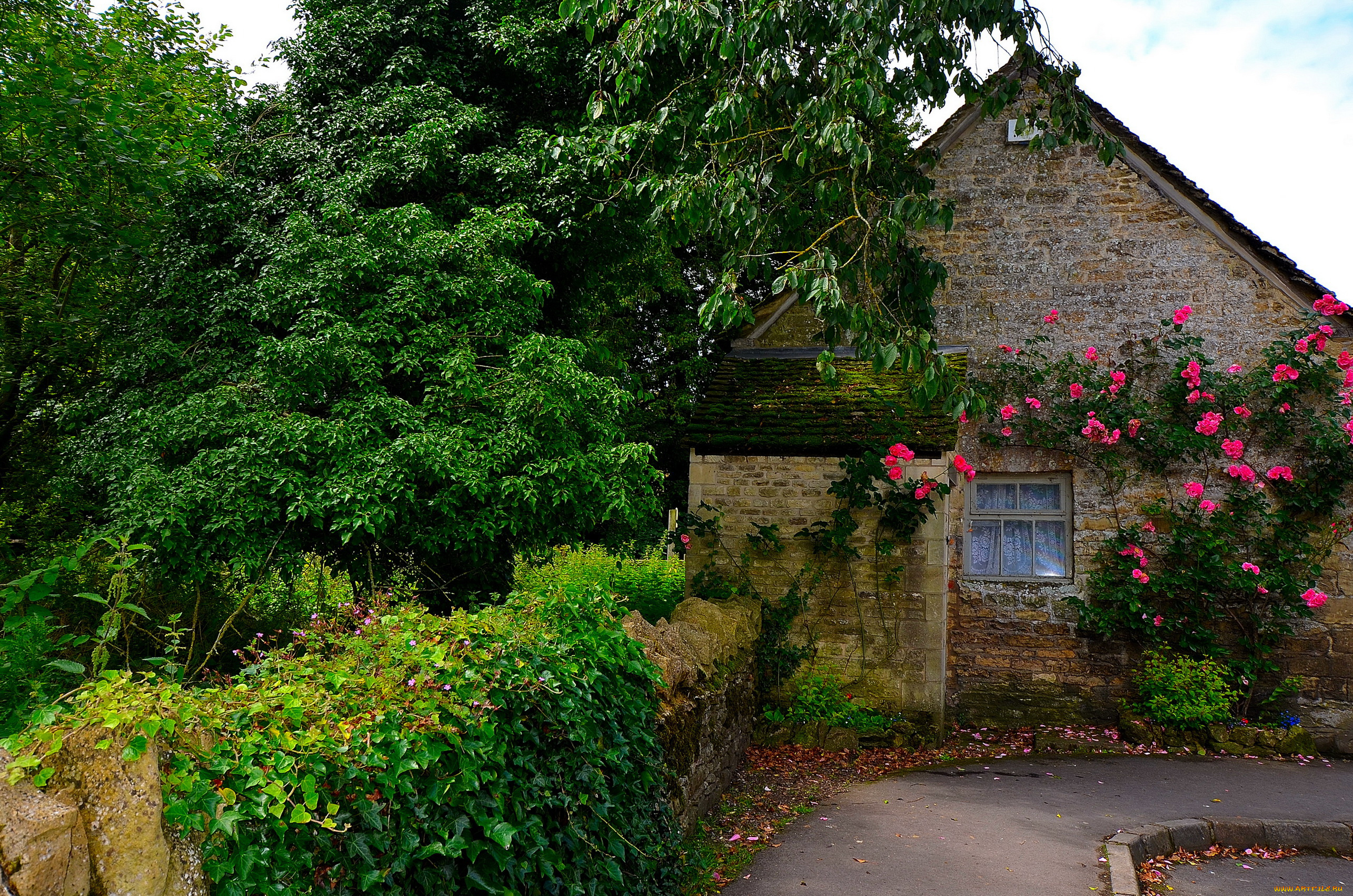 bibury, gloucestershire, англия, города, -, здания, , дома, англия, gloucestershire, bibury, кусты, цветы, дом