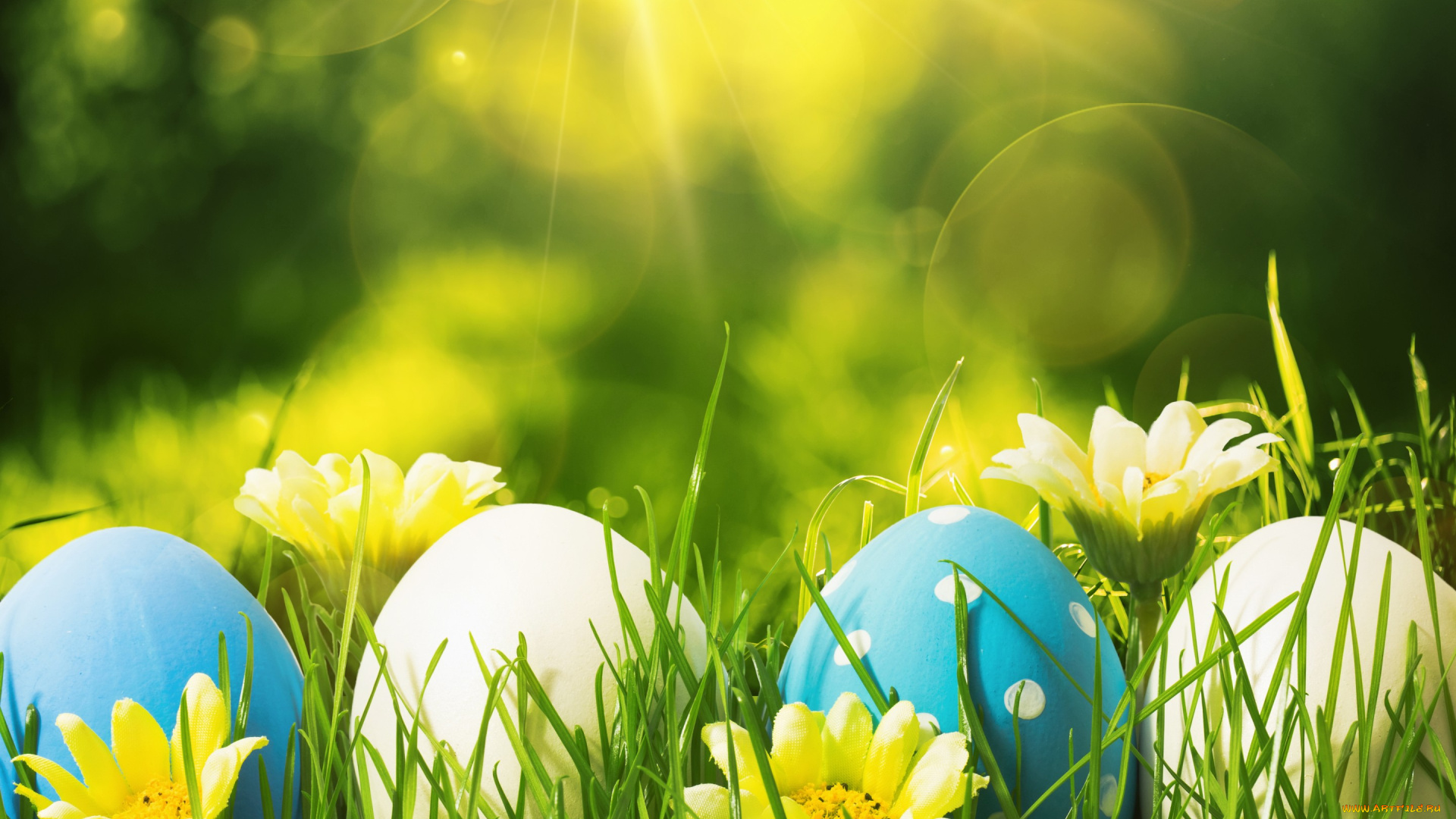 праздничные, пасха, decoration, eggs, happy, easter, весна, цветы, яйца, flowers, spring