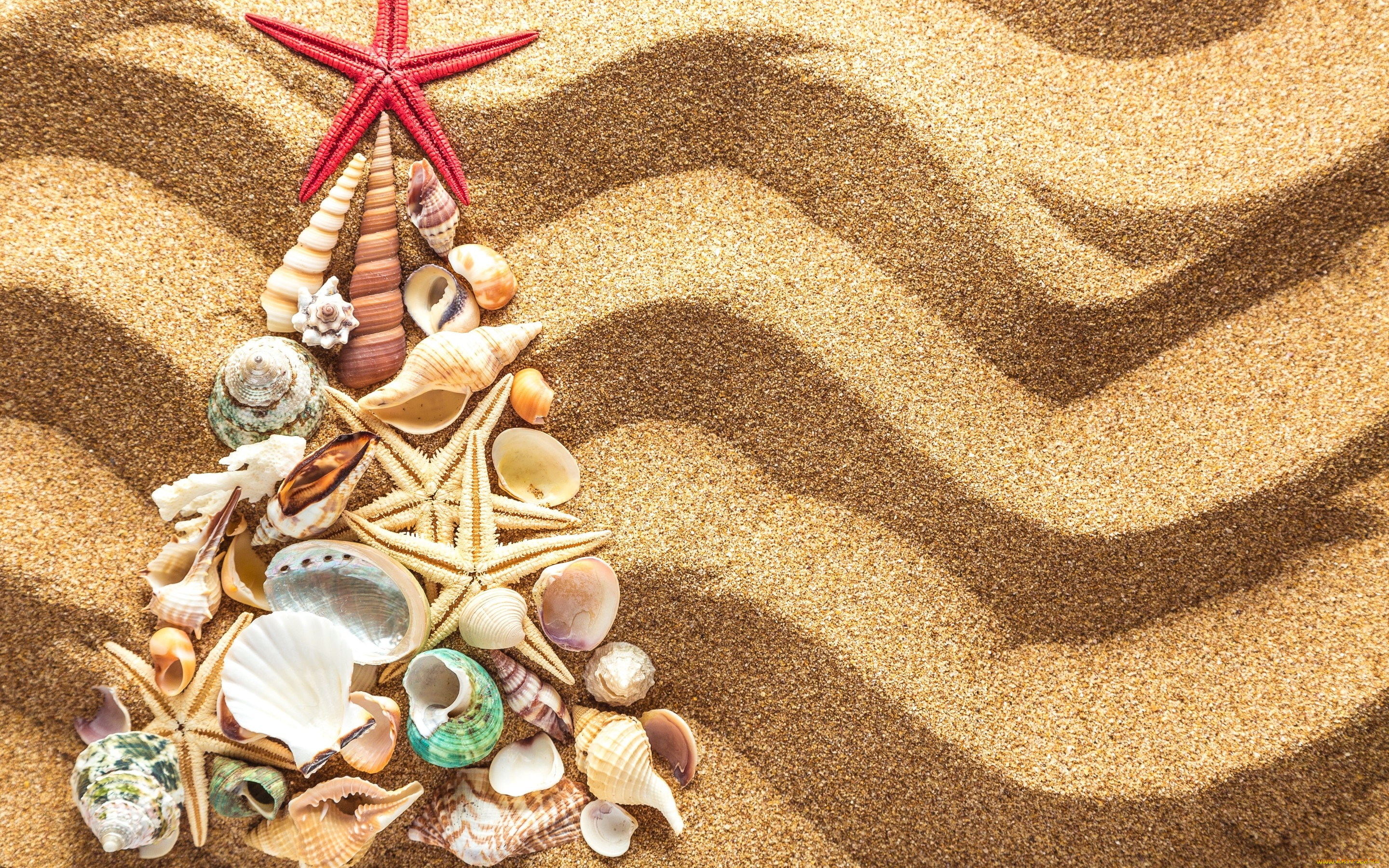 разное, ракушки, , кораллы, , декоративные, и, spa-камни, песок, tree, christmas, beach, seashells, sand, новый, год, елка, украшения