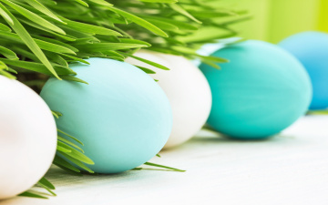 Картинка праздничные пасха happy цветы easter весна трава eggs яйца flowers spring decoration