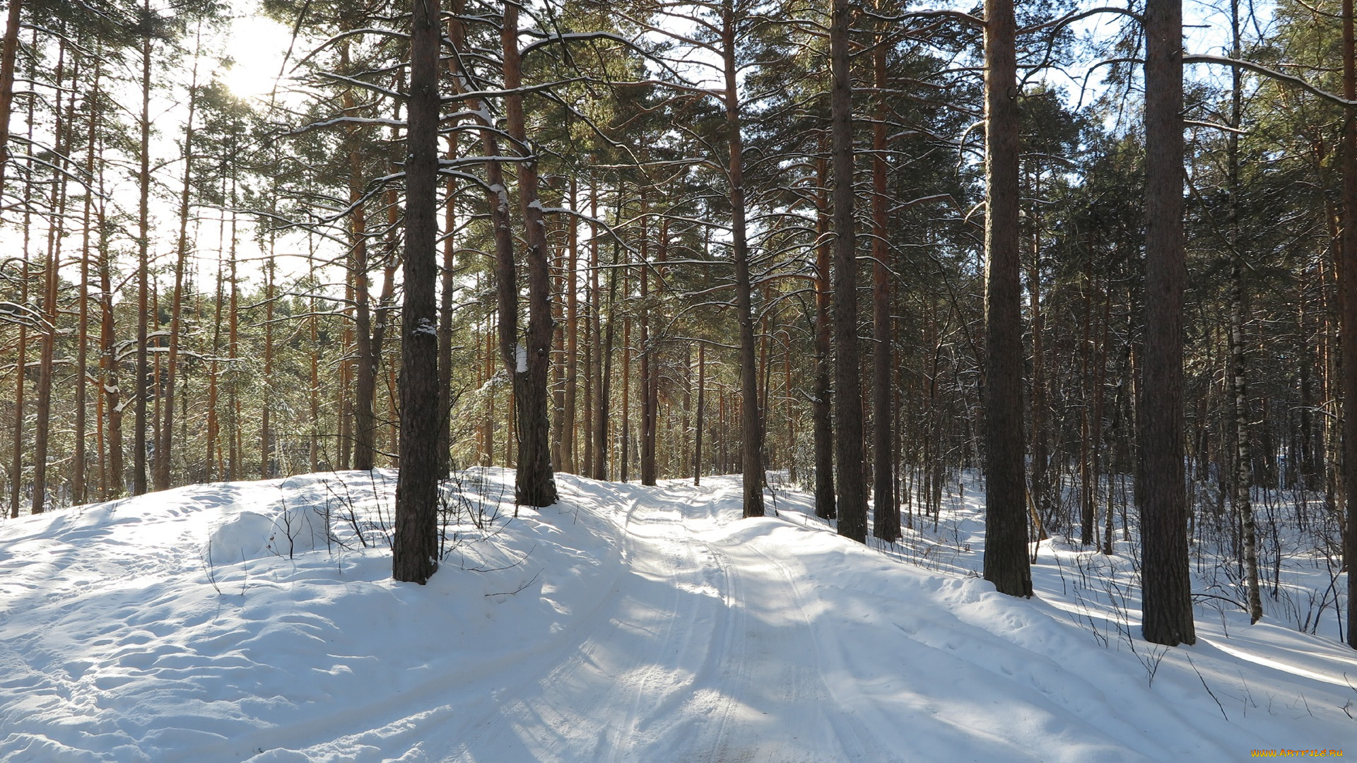 природа, дороги, снег, деревья