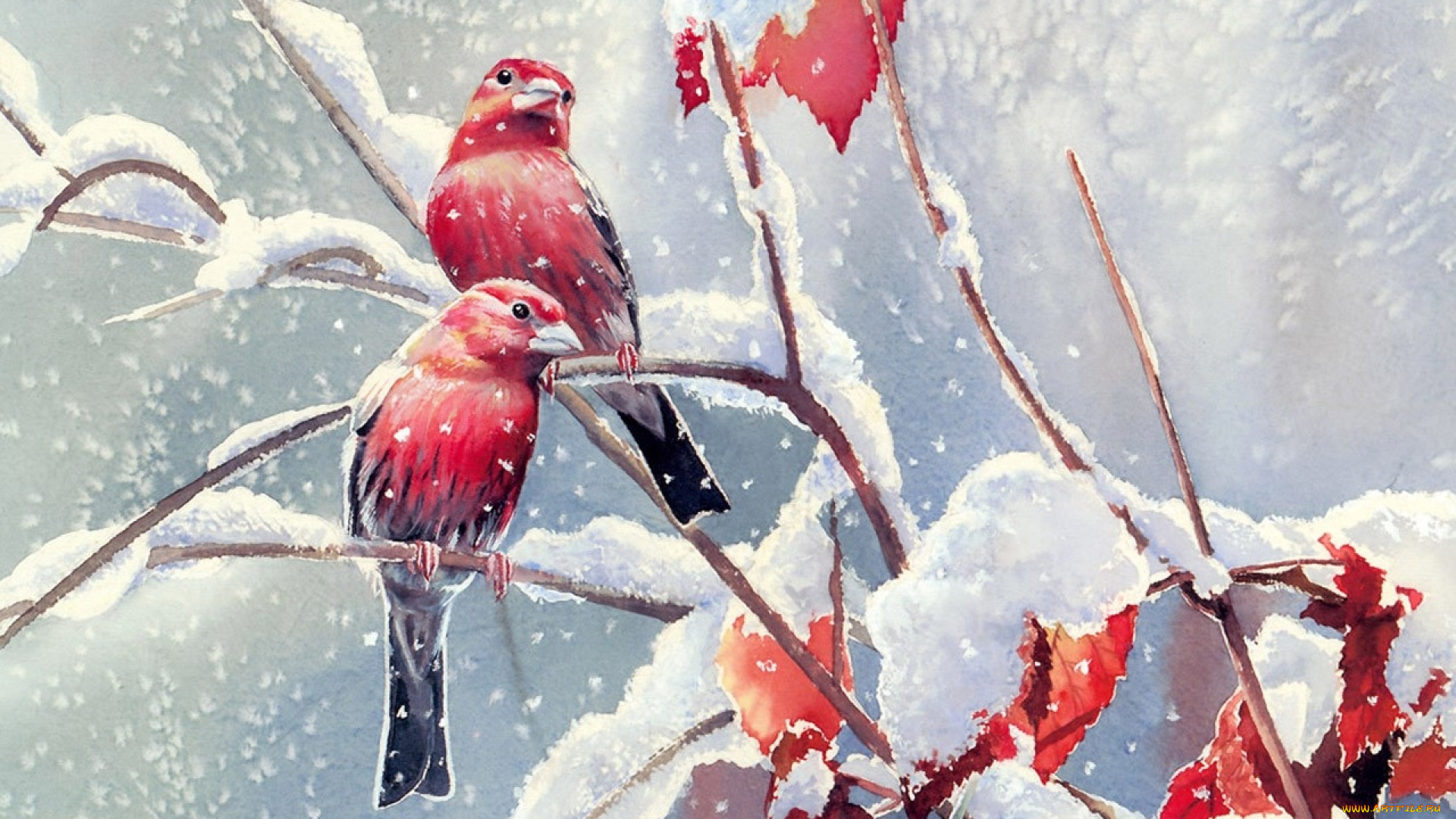 рисованное, животные, , птицы, ветки, снег, зима, листья, птицы