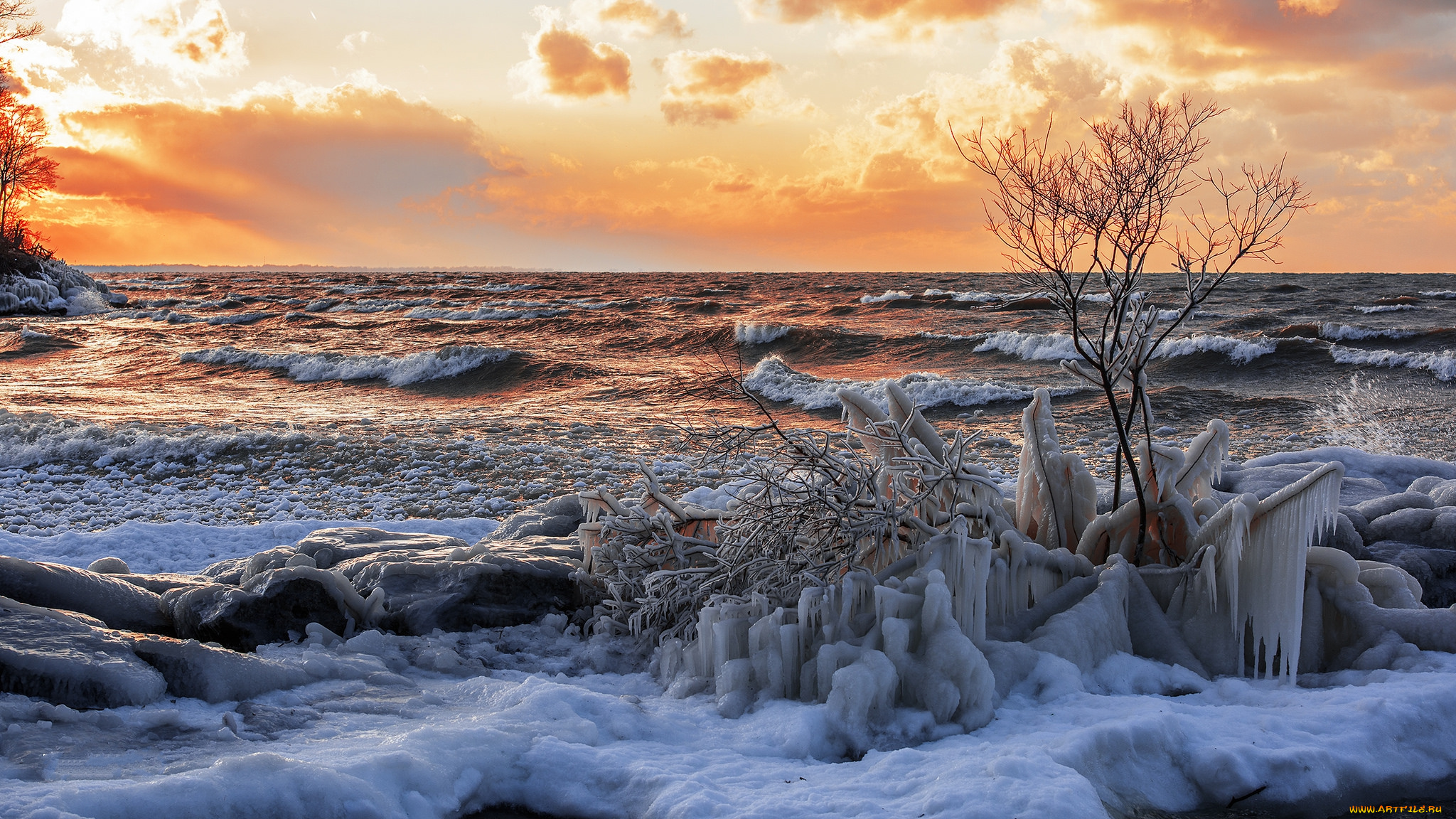 природа, побережье, море, берег