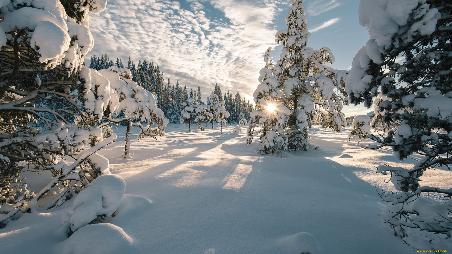 природа, зима, деревья, тени, ели, норвегия, солнце, небо, облака, лучи, пейзаж, снег