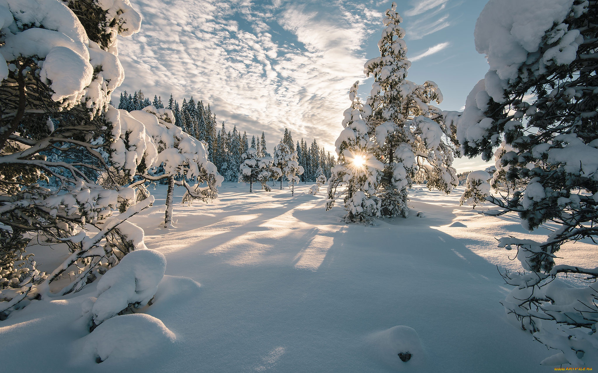 природа, зима, деревья, тени, ели, норвегия, солнце, небо, облака, лучи, пейзаж, снег