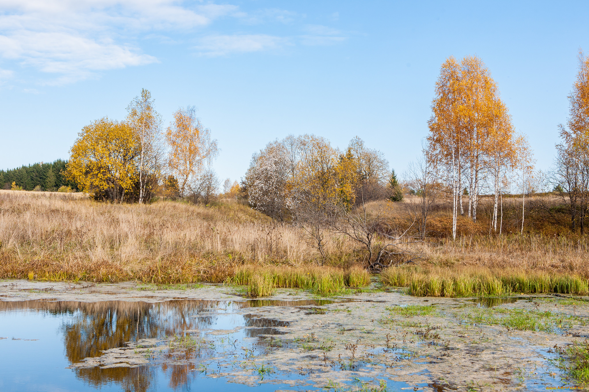 природа, реки, озера, простор