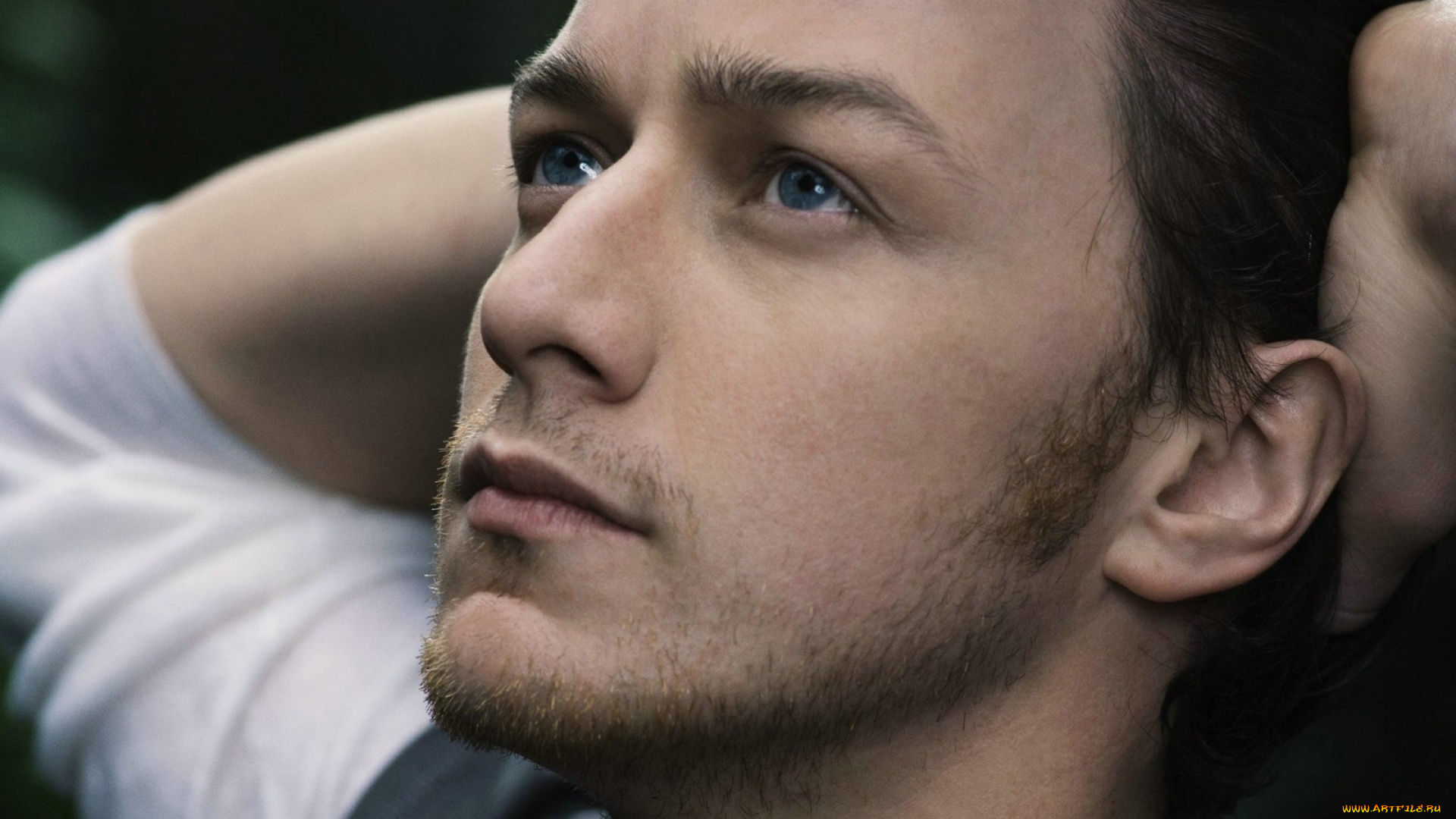 мужчины, james, mcavoy, актер, лицо