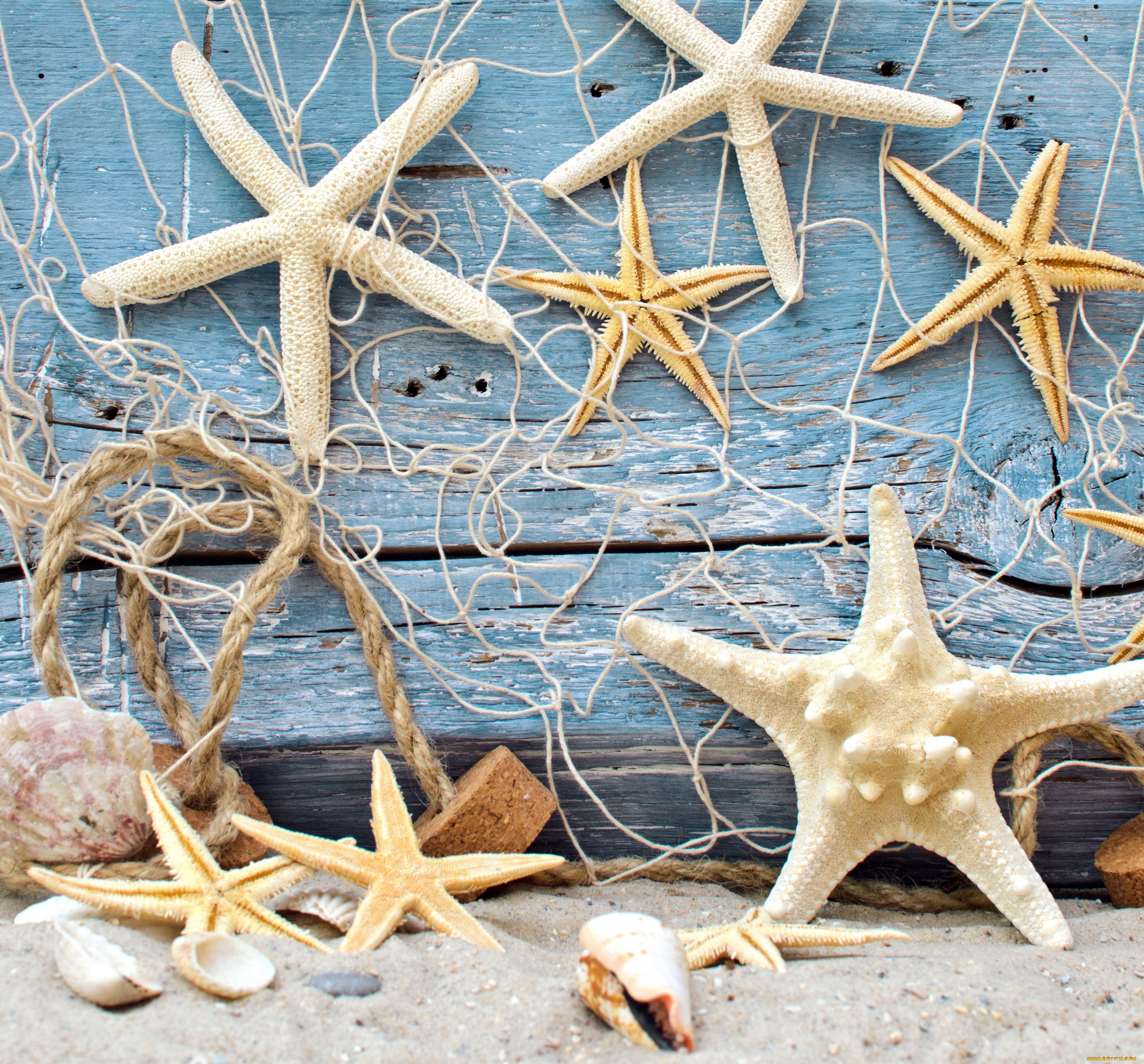 разное, ракушки, , кораллы, , декоративные, и, spa-камни, морские, звезды, песок