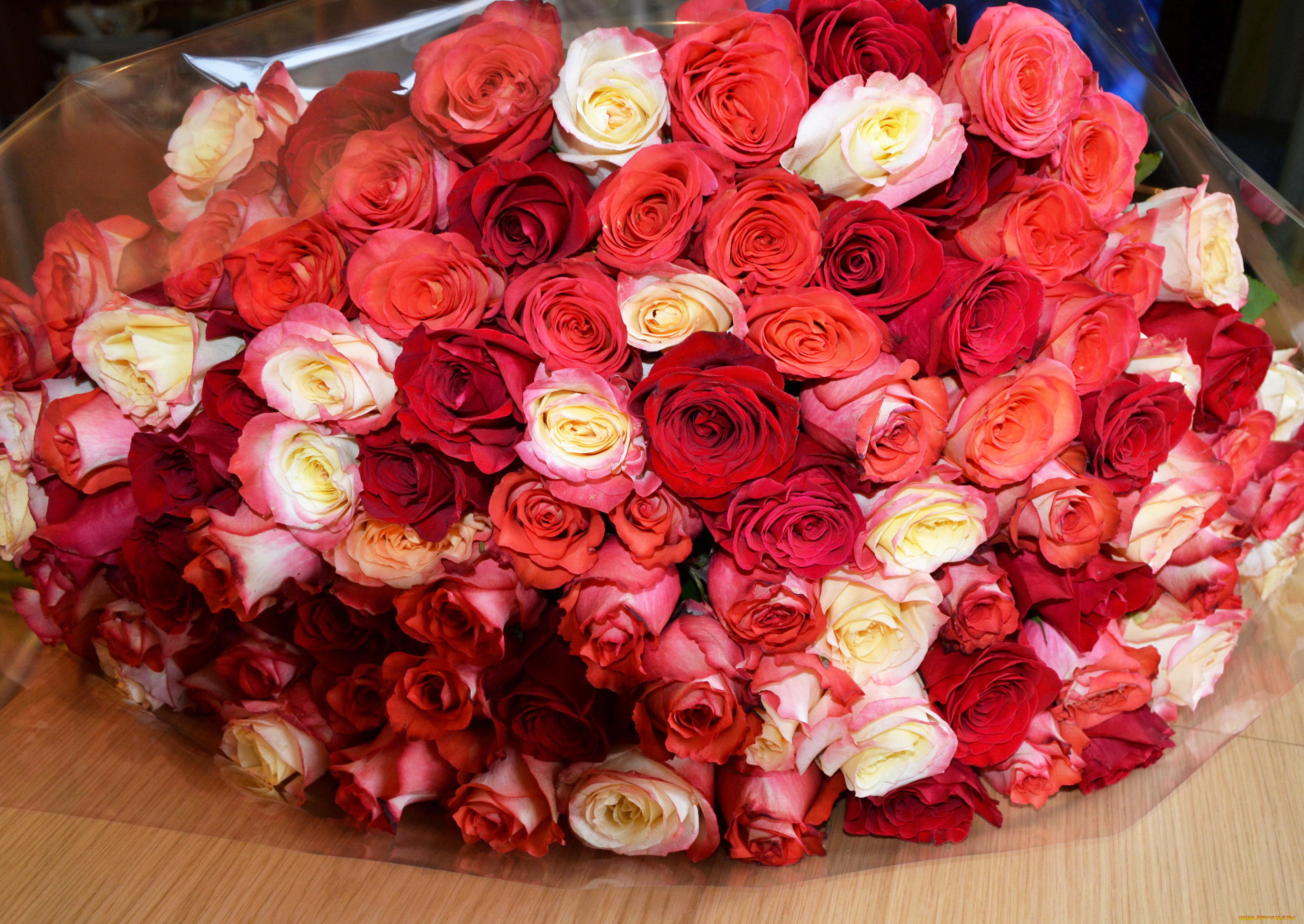 цветы, розы, красота, букет, bouquet, flowers, rose