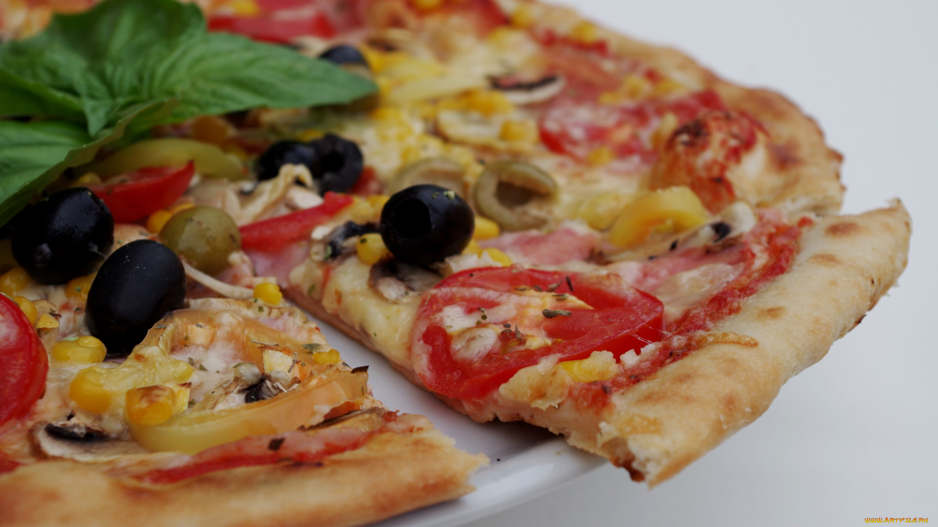 еда, пицца, маслины, базилик