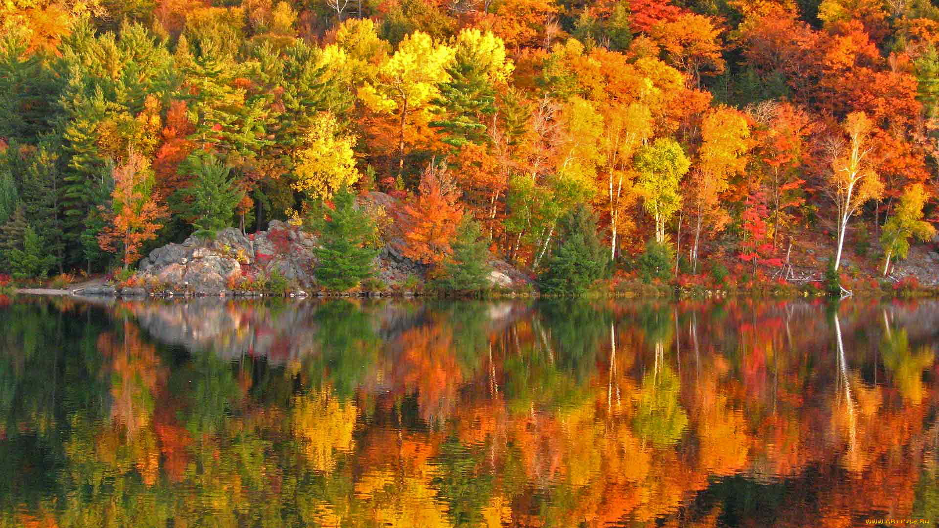 природа, реки, озера, осень, краски, канада, онтарио, озеро, джордж, отражение, склон, скалы, деревья