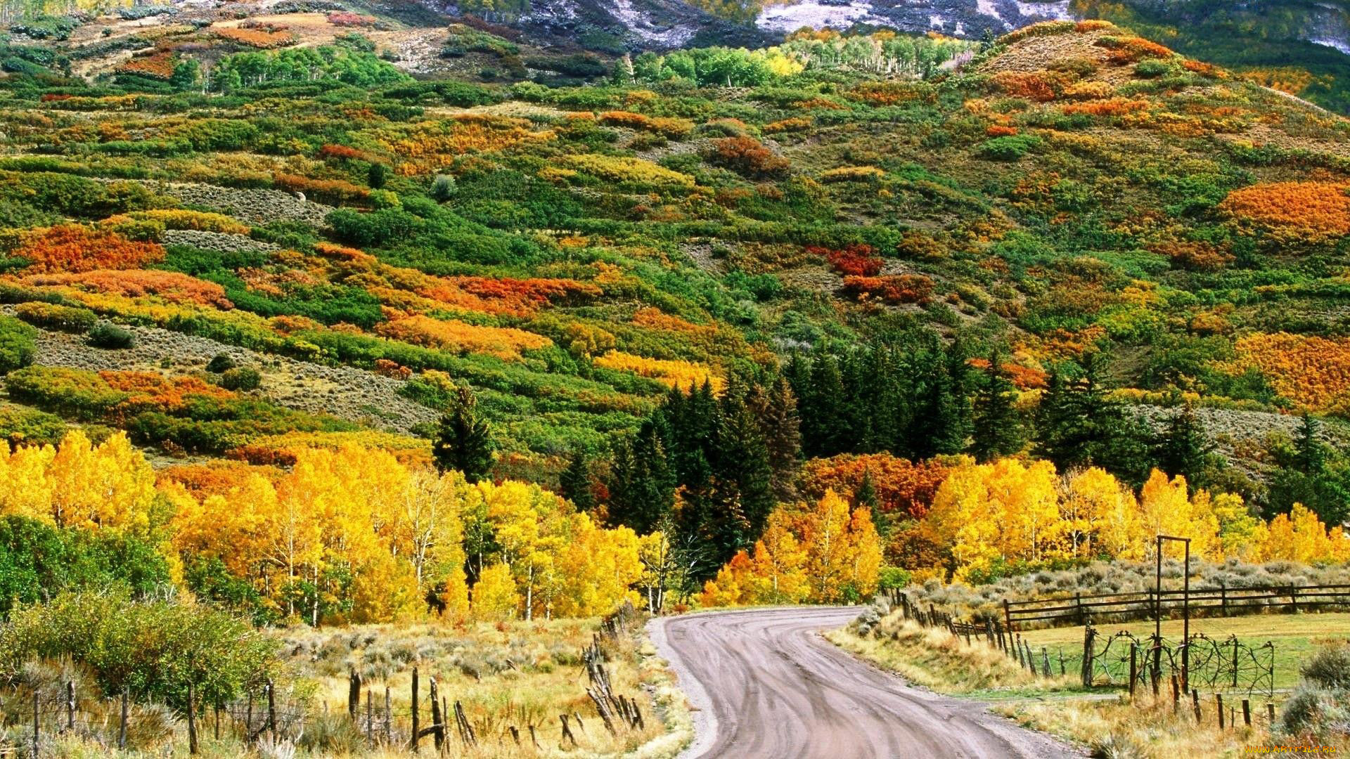 природа, дороги, осень, дорога, холмы