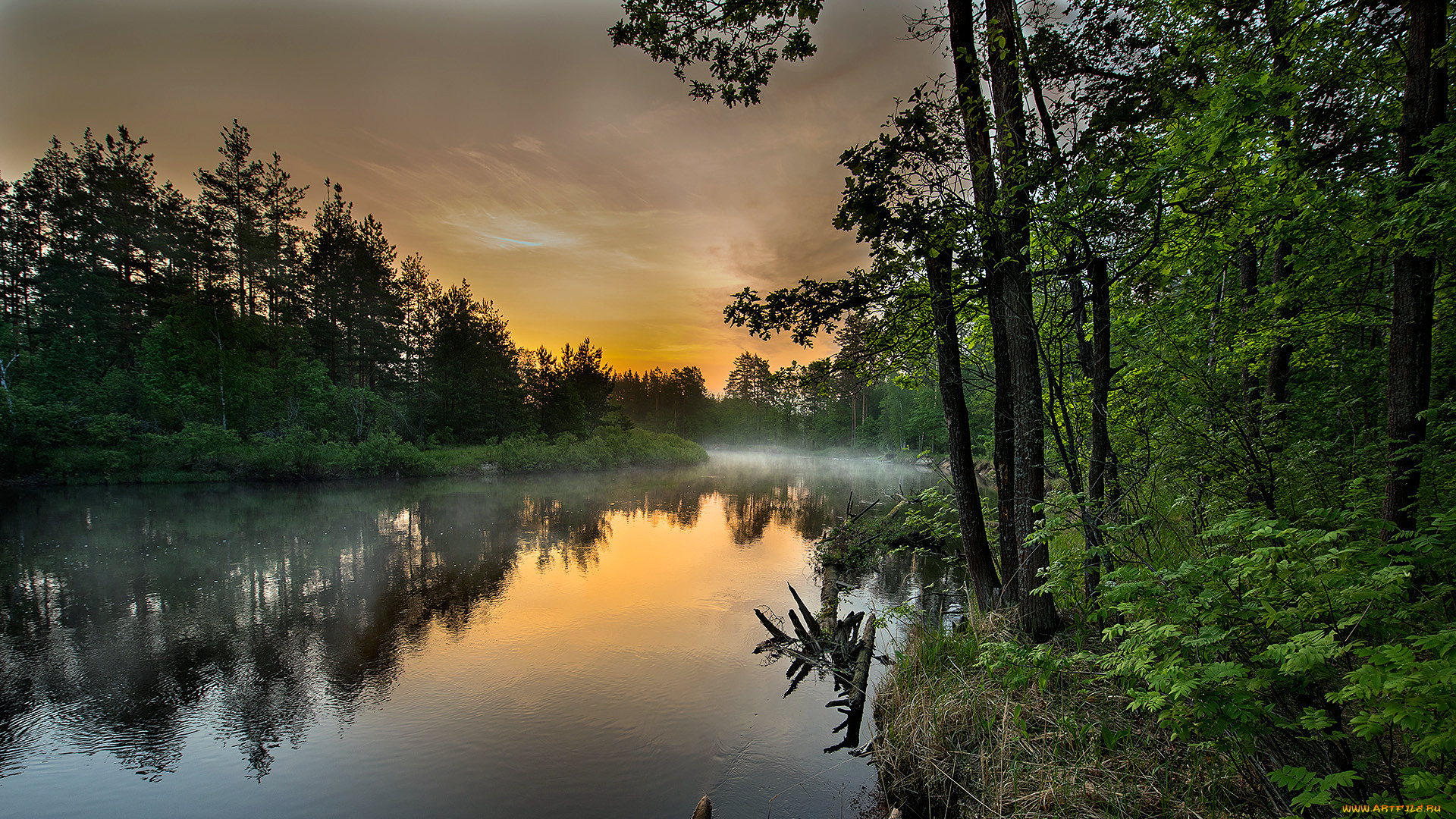 природа, реки, озера, река, лес