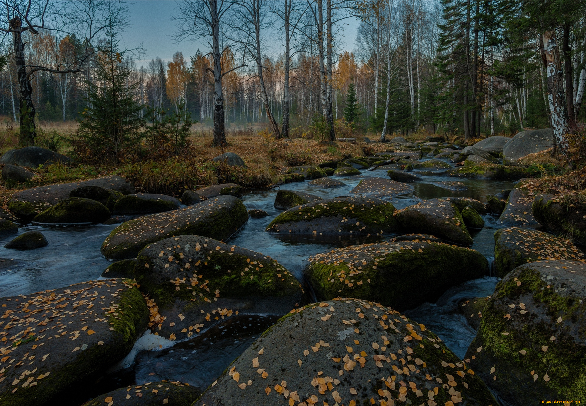 природа, реки, озера, поток, камни