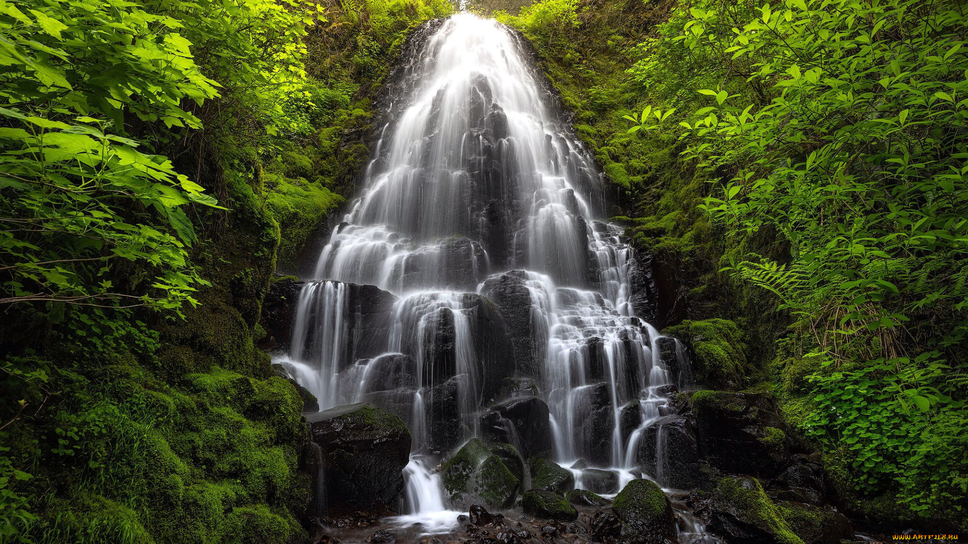 fairy, falls, oregon, природа, водопады, fairy, falls