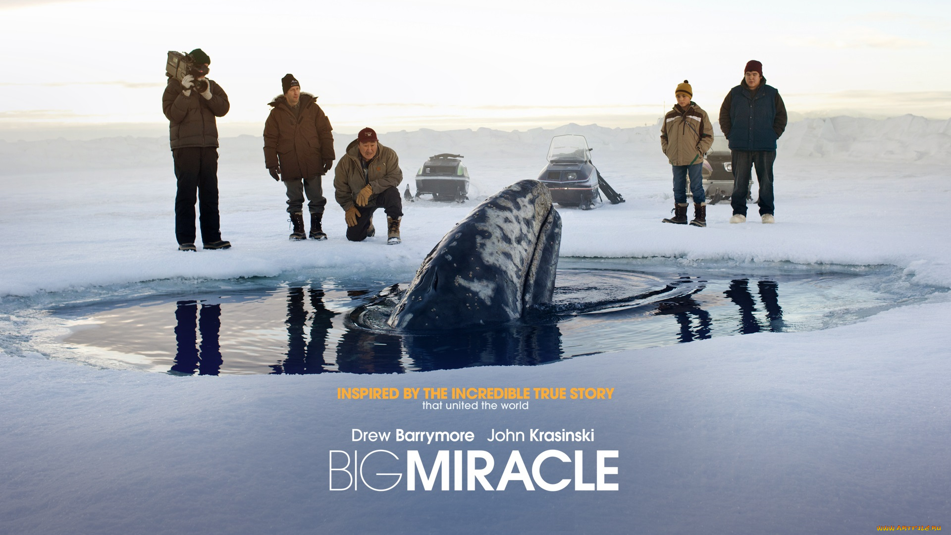 кино, фильмы, big, miracle, люди, кит, лунка, лед