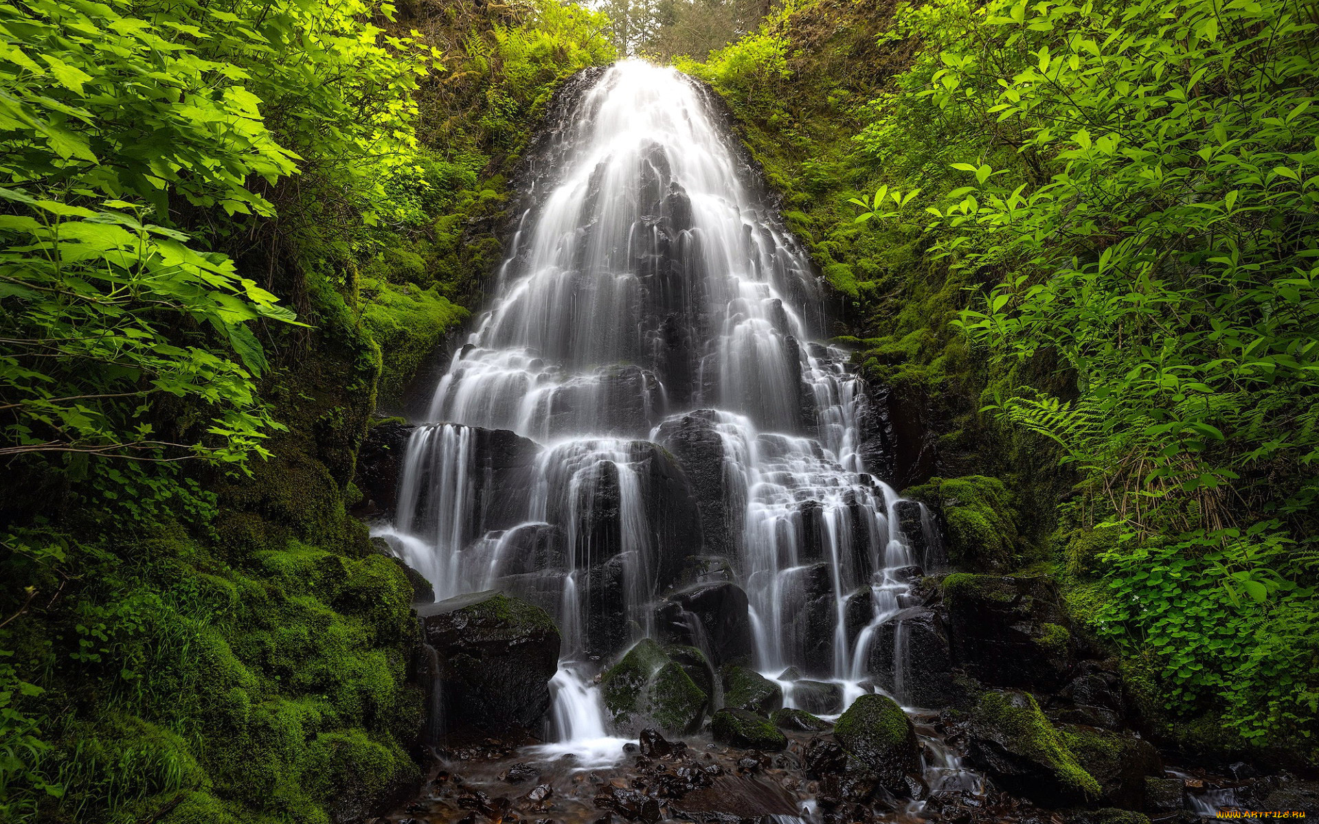 fairy, falls, oregon, природа, водопады, fairy, falls