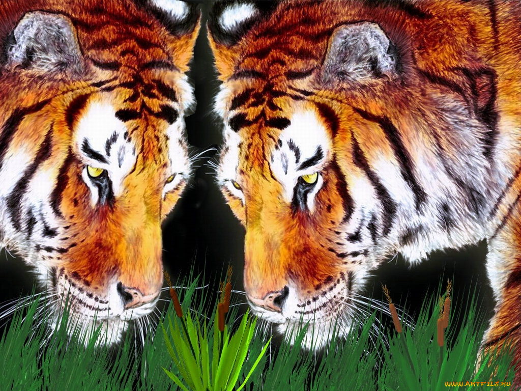 зеркало, рисованные, животные, тигры