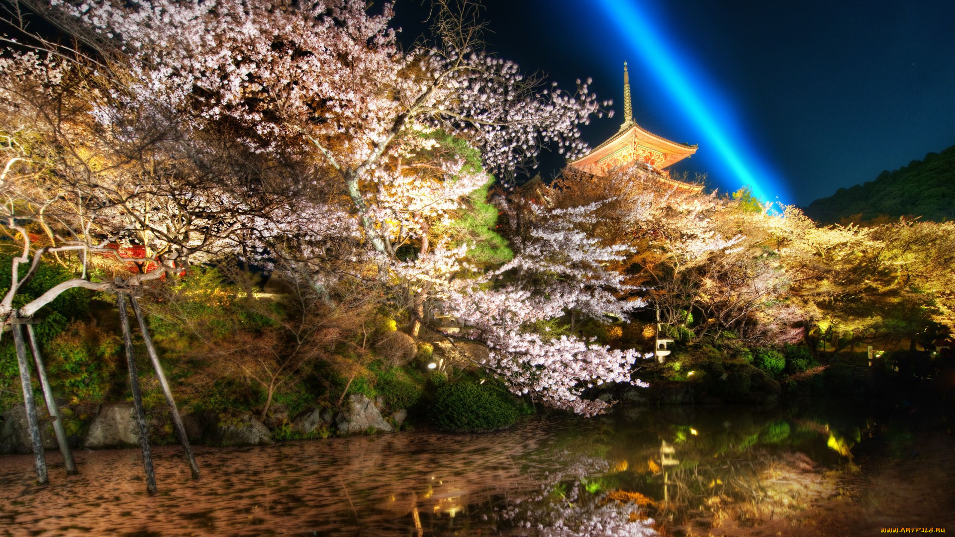 kyoto, japan, природа, парк