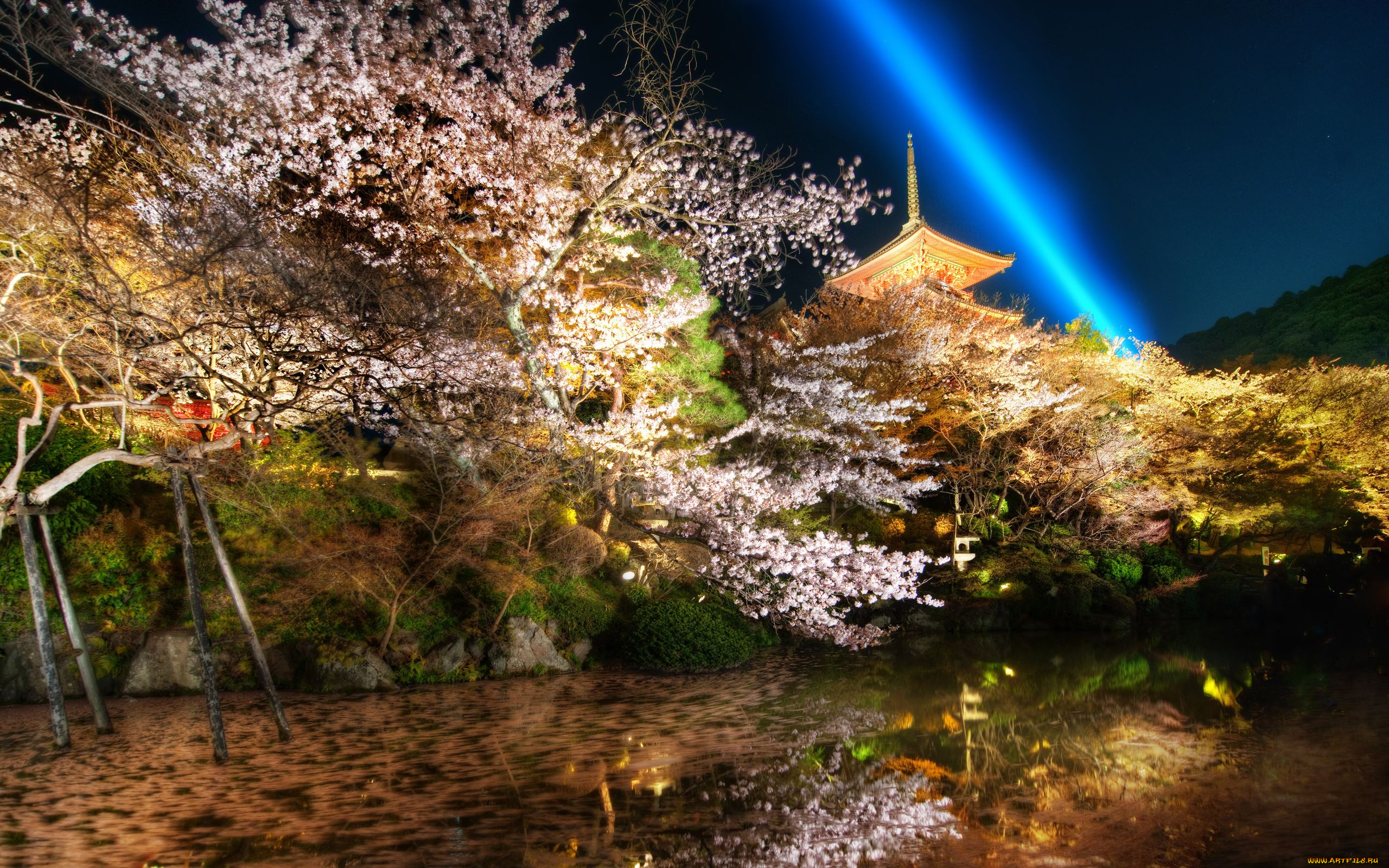 kyoto, japan, природа, парк