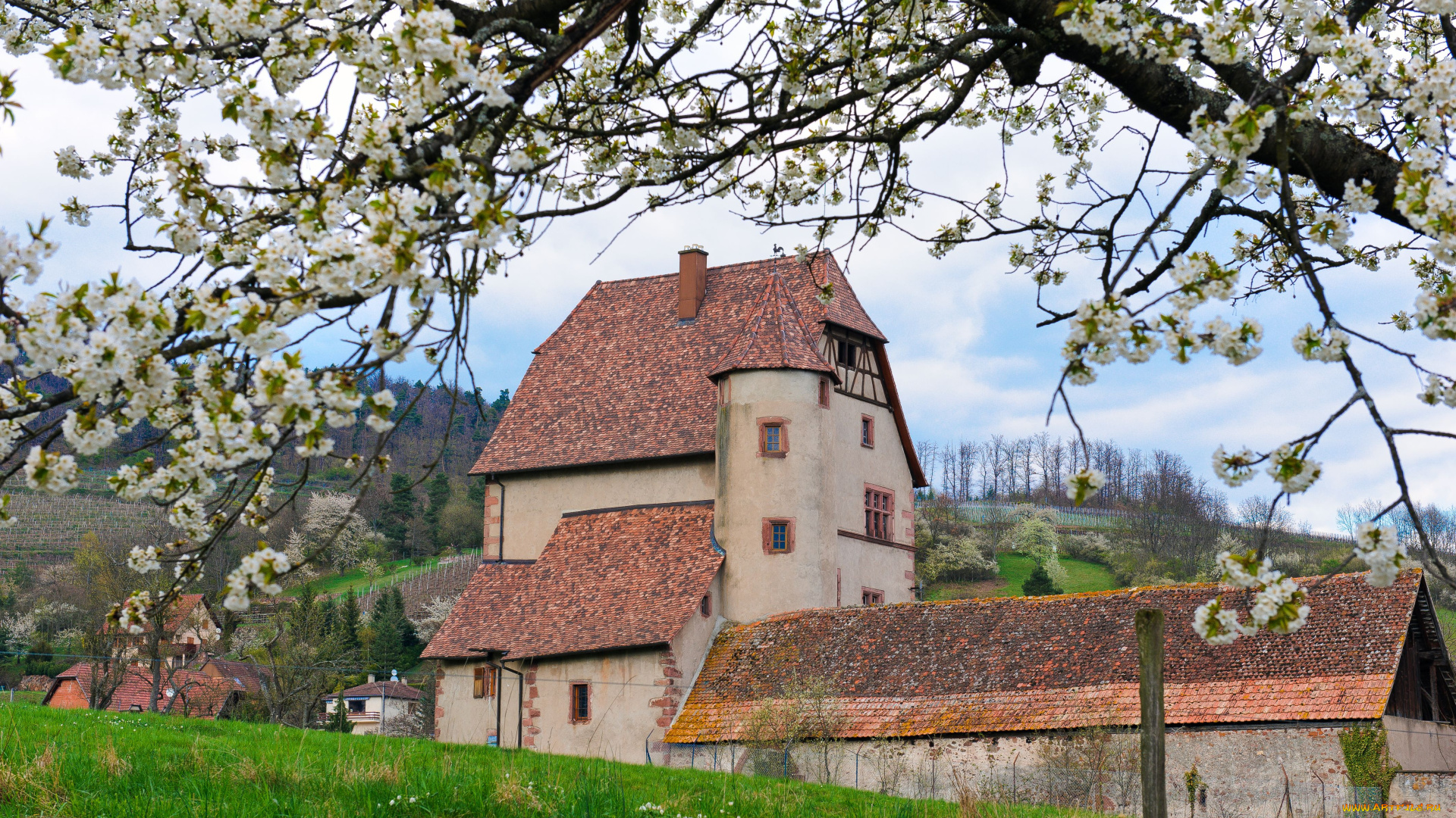 castle, of, walbach, города, дворцы, замки, крепости, france