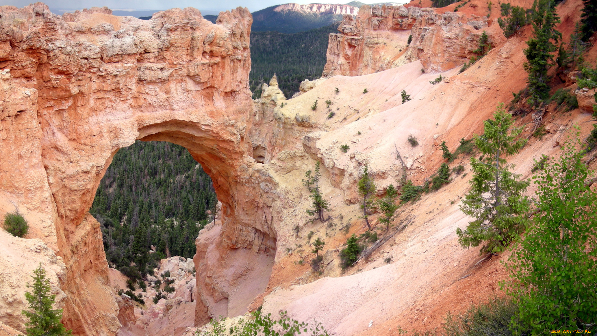 природа, горы, utah, usa, natural, bridge, bryce, canyon