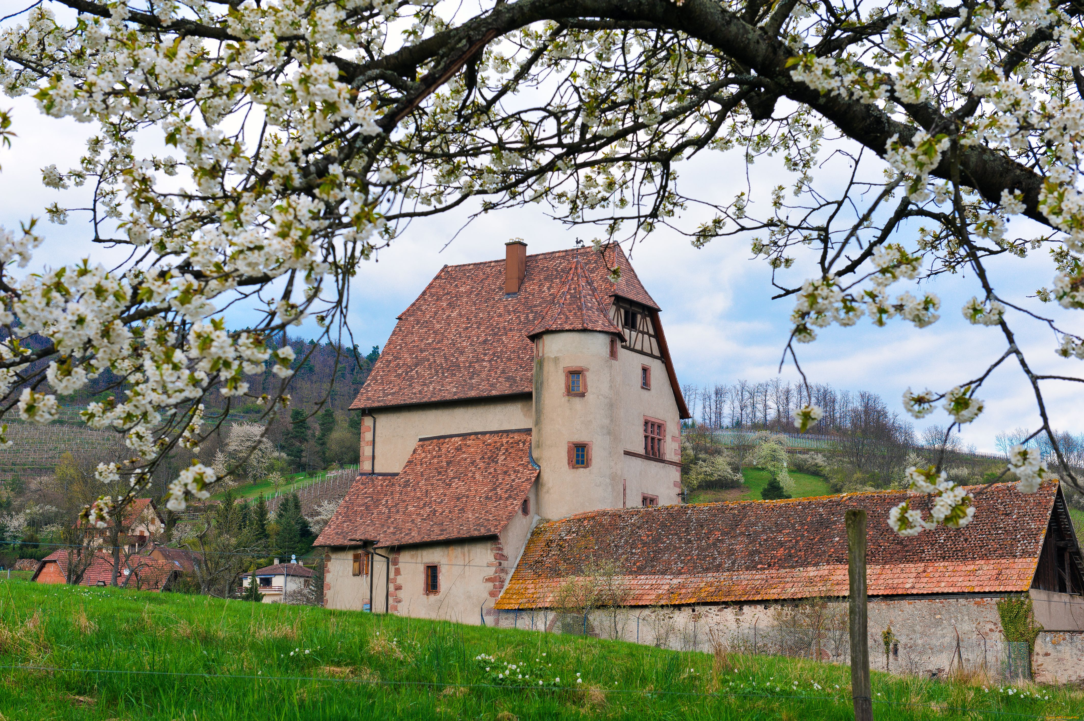 castle, of, walbach, города, дворцы, замки, крепости, france